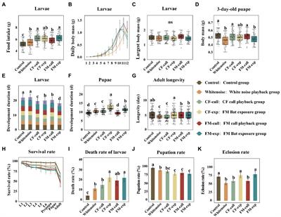 Effects of predation risks of bats on the growth, development, reproduction, and hormone levels of Spodoptera litura